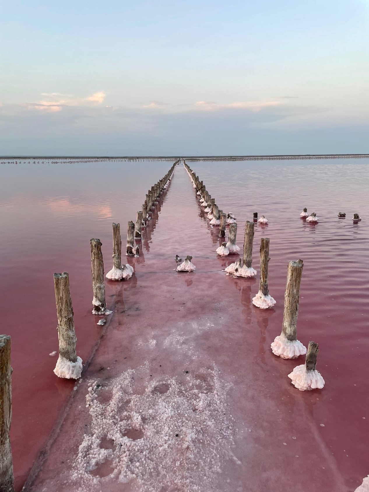 Отдых в Саки: Розовое озеро 